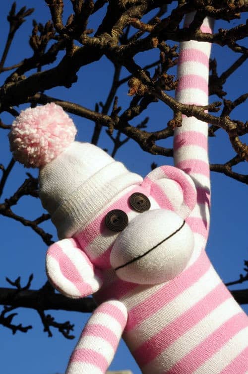 How to sew a Sock Monkey sewing pattern